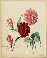 BB 047
          <br/>
          Dahlia's en prachtlelies
          <br/>
          <em>Reekers, Hendrik (1815-1854)</em>